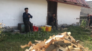 Humanost na djelu