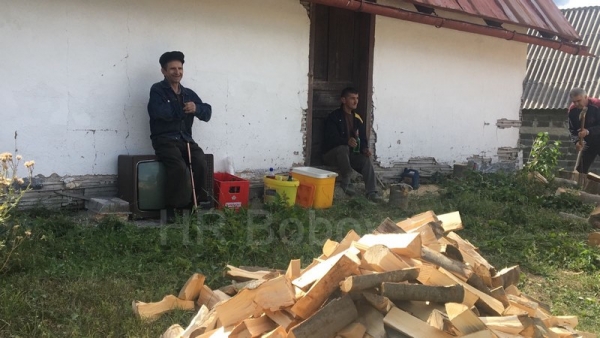 Humanost na djelu