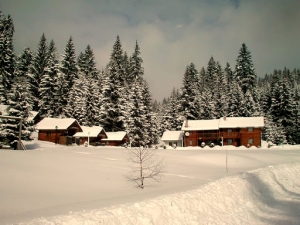 Javni oglas o prodaji nekretnine - Odmaralište Doli