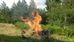 Upozorenje građanima zbog nesavjesnog spaljivanja korova