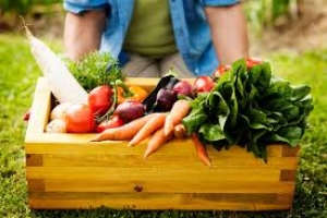 Otvoren treći po redu javni poziv projekta Europske unije EU4AGRI: 3,5 milijuna KM bespovratnih sredstava za podršku investicijama u primarnu poljoprivrednu proizvodnju