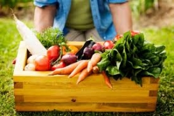 Otvoren treći po redu javni poziv projekta Europske unije EU4AGRI: 3,5 milijuna KM bespovratnih sredstava za podršku investicijama u primarnu poljoprivrednu proizvodnju