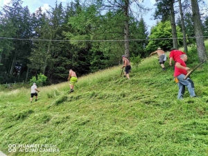 Koševina – stara tradicija mjesne zajdnice Strica Zaruđe