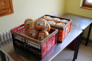 Farma &quot;Zarudje&quot; donirala sir Pučkoj kuhinji