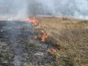 Strogo zabranjeno spaljivanje korova