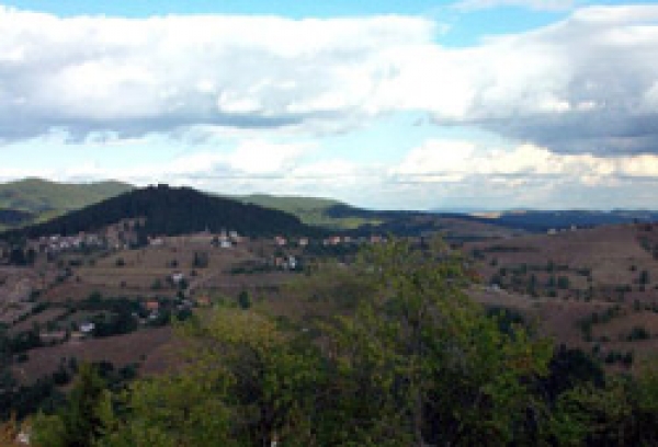 Samoubojstvo na Višnjićima