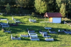 Prikupljanje sredstava za ogradu na groblju Diknjići