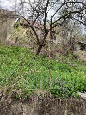 Prodaje se devastirana kuća u Vareš Majdanu