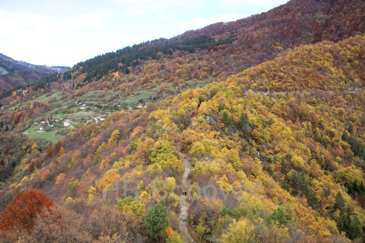 IMG8233-Bobovac2025