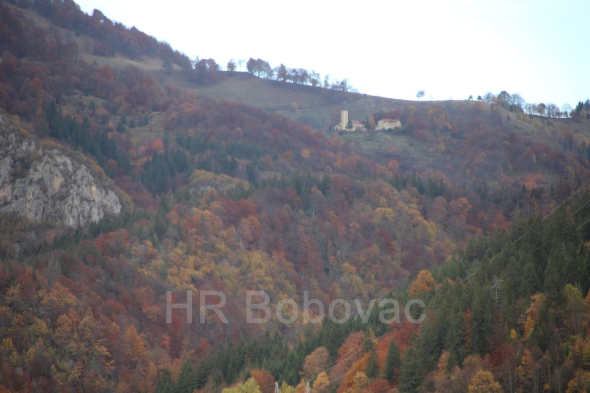 IMG8234-Bobovac2025