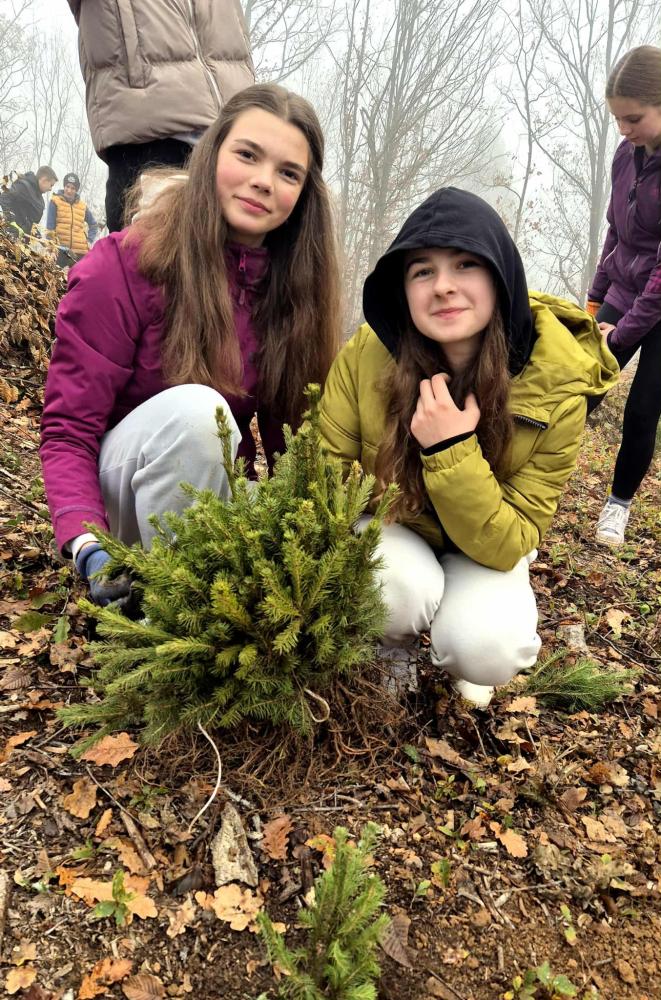 Kao-prvo-posadi-drvo-11