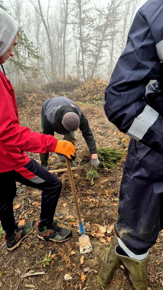 Kao-prvo-posadi-drvo-12