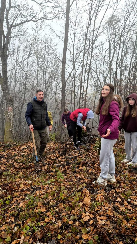 Kao-prvo-posadi-drvo-15