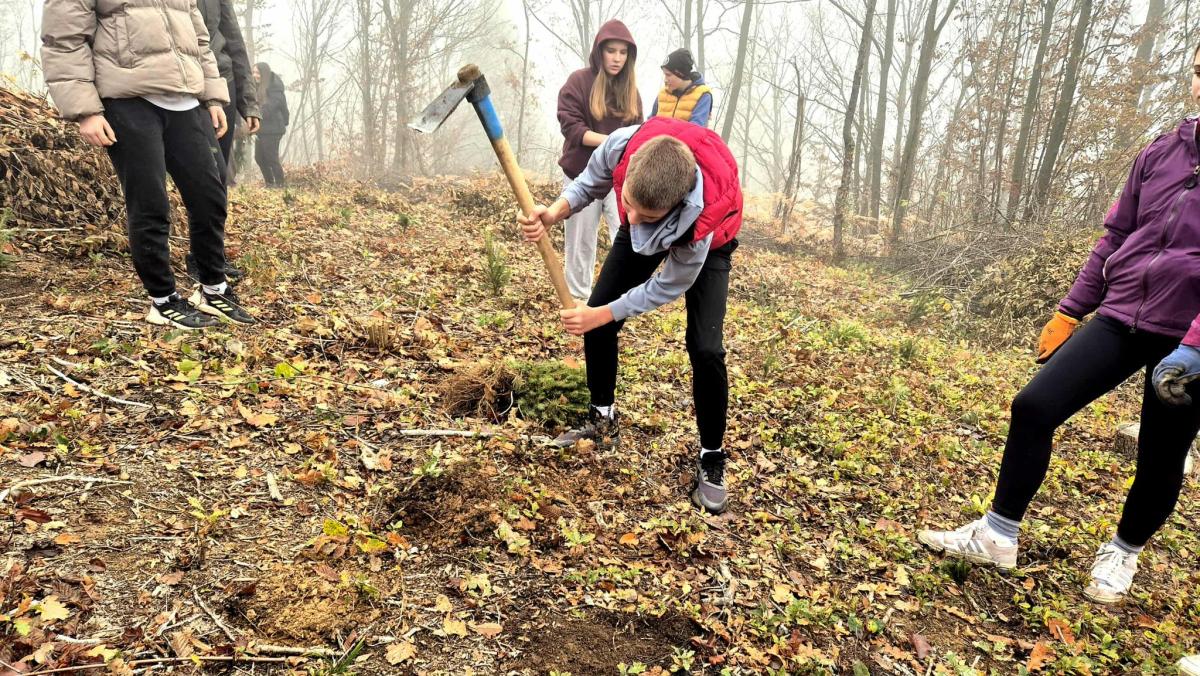 Kao-prvo-posadi-drvo-17