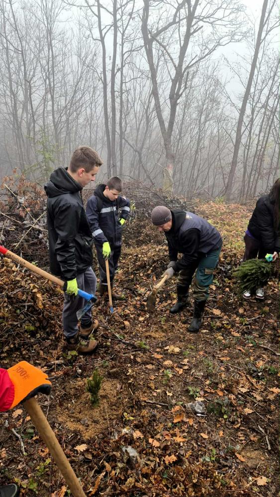 Kao-prvo-posadi-drvo-18