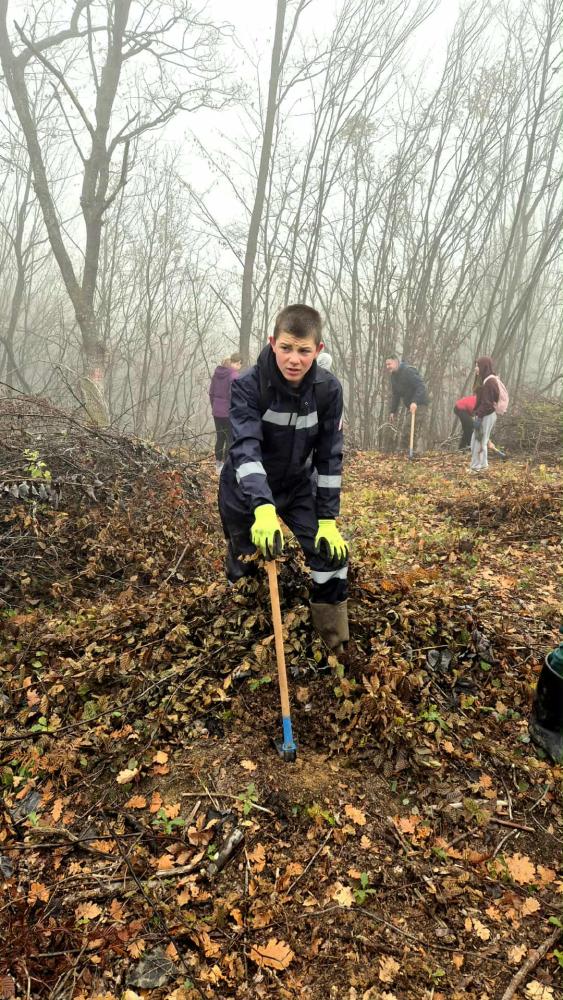 Kao-prvo-posadi-drvo-22