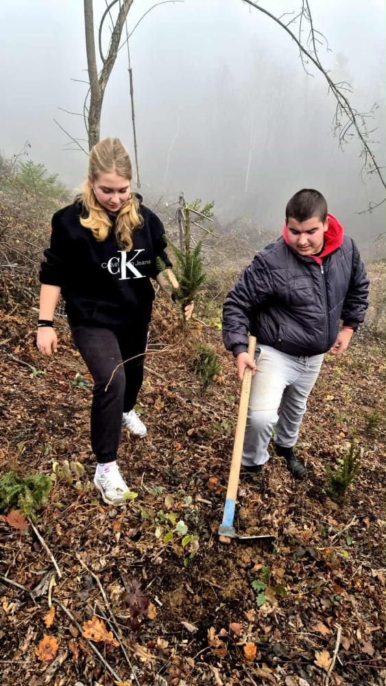 Kao-prvo-posadi-drvo-5