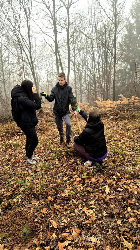 Kao-prvo-posadi-drvo-6