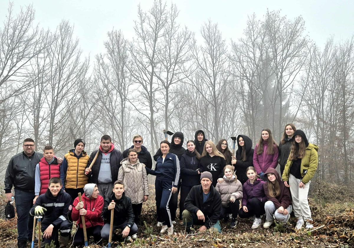 Kao-prvo-posadi-drvo-8