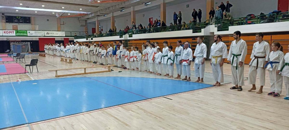 Karate-Slovenija-16