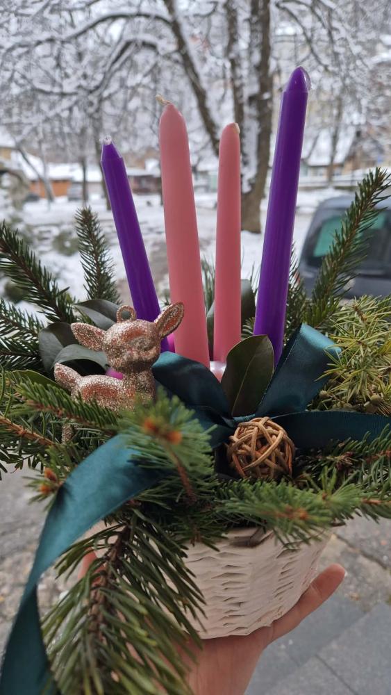 OS-Vares-advenstki-vijenci-7