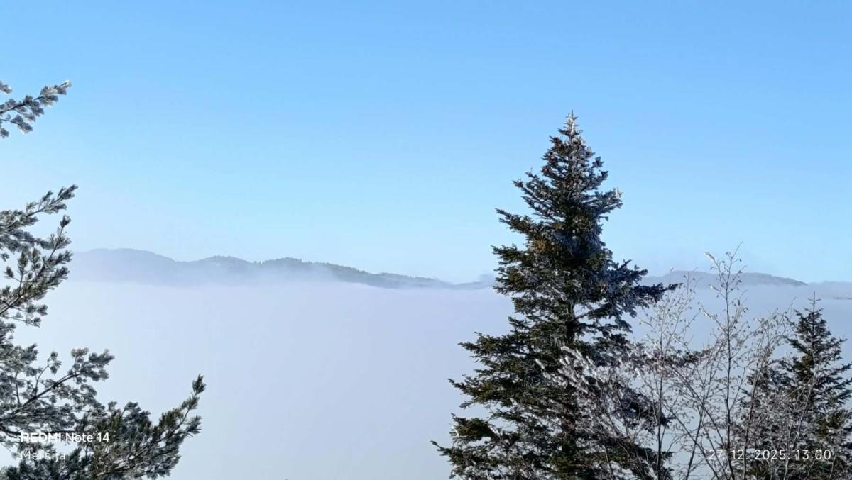 PSD-Perun-Mekuse-mars-23