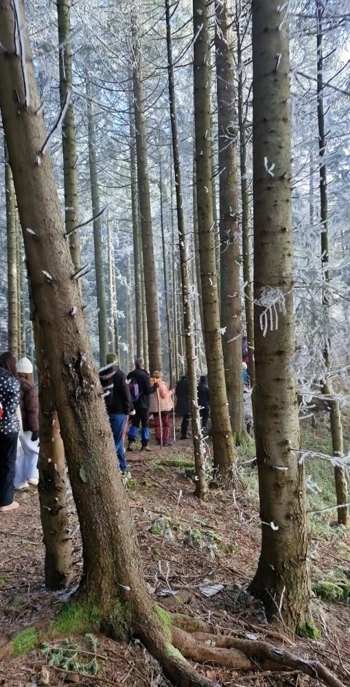 PSD-Perun-Mekuse-mars-30