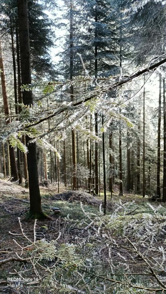 PSD-Perun-Mekuse-mars-47