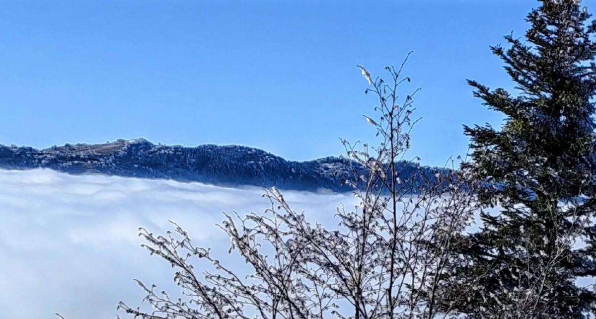 PSD-Perun-Mekuse-mars-53