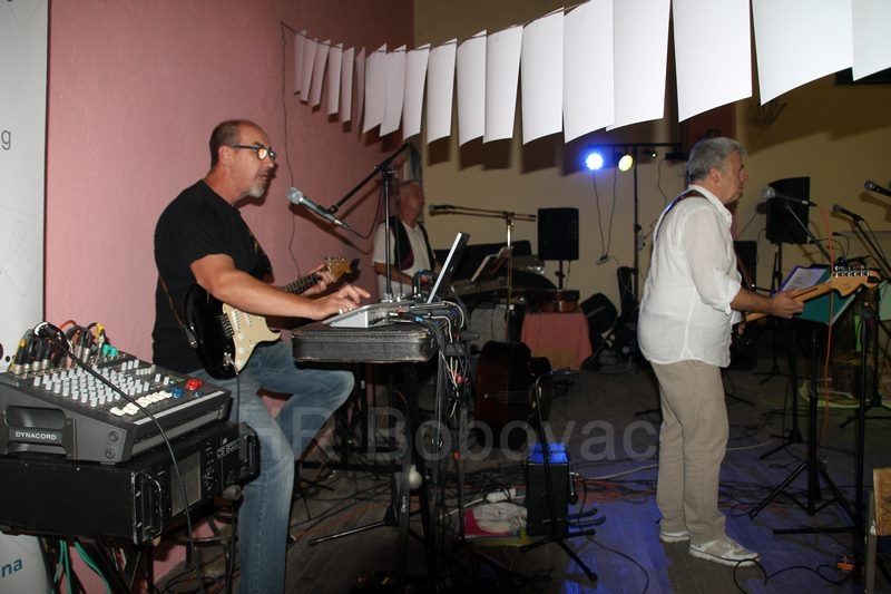 IMG7446-Harmonikijada