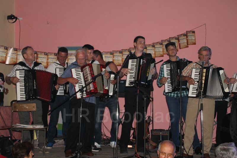 IMG7461-Harmonikijada