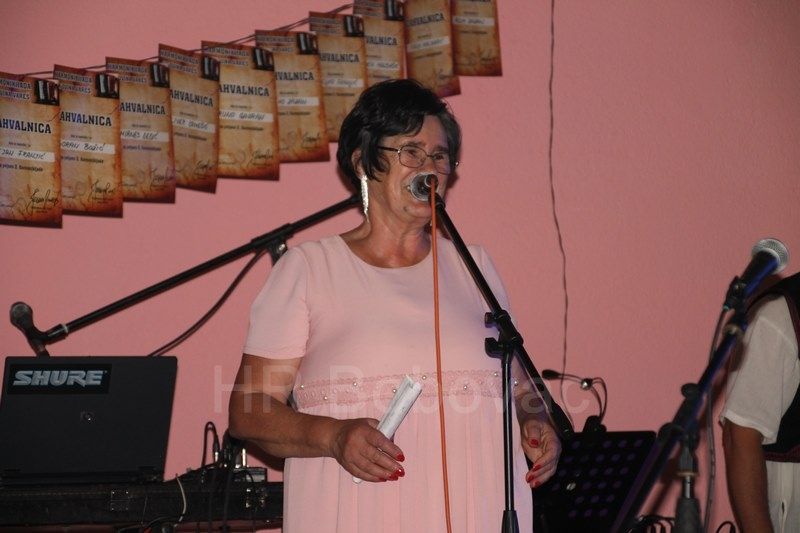 IMG7481-Harmonikijada