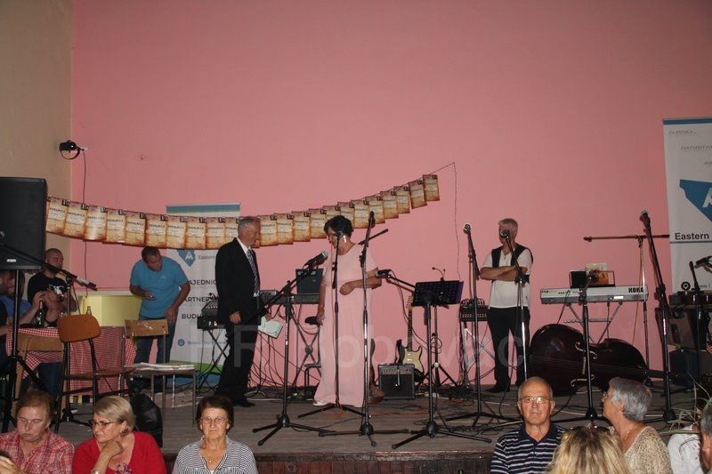 IMG7484-Harmonikijada