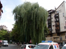 36. sjednica Općinskog vijeća