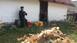 Humanost na djelu