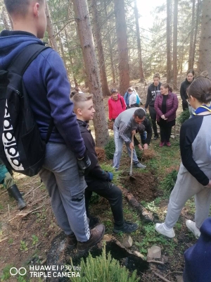 Vareški osnovci sudjelovali u akciji „Kao prvo, posadi drvo“